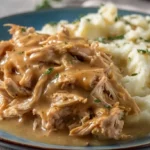shredded chicken and gravy dinner 2025 12 27 185140 150x150 1